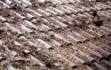 Goodmanham roof cleaning companies